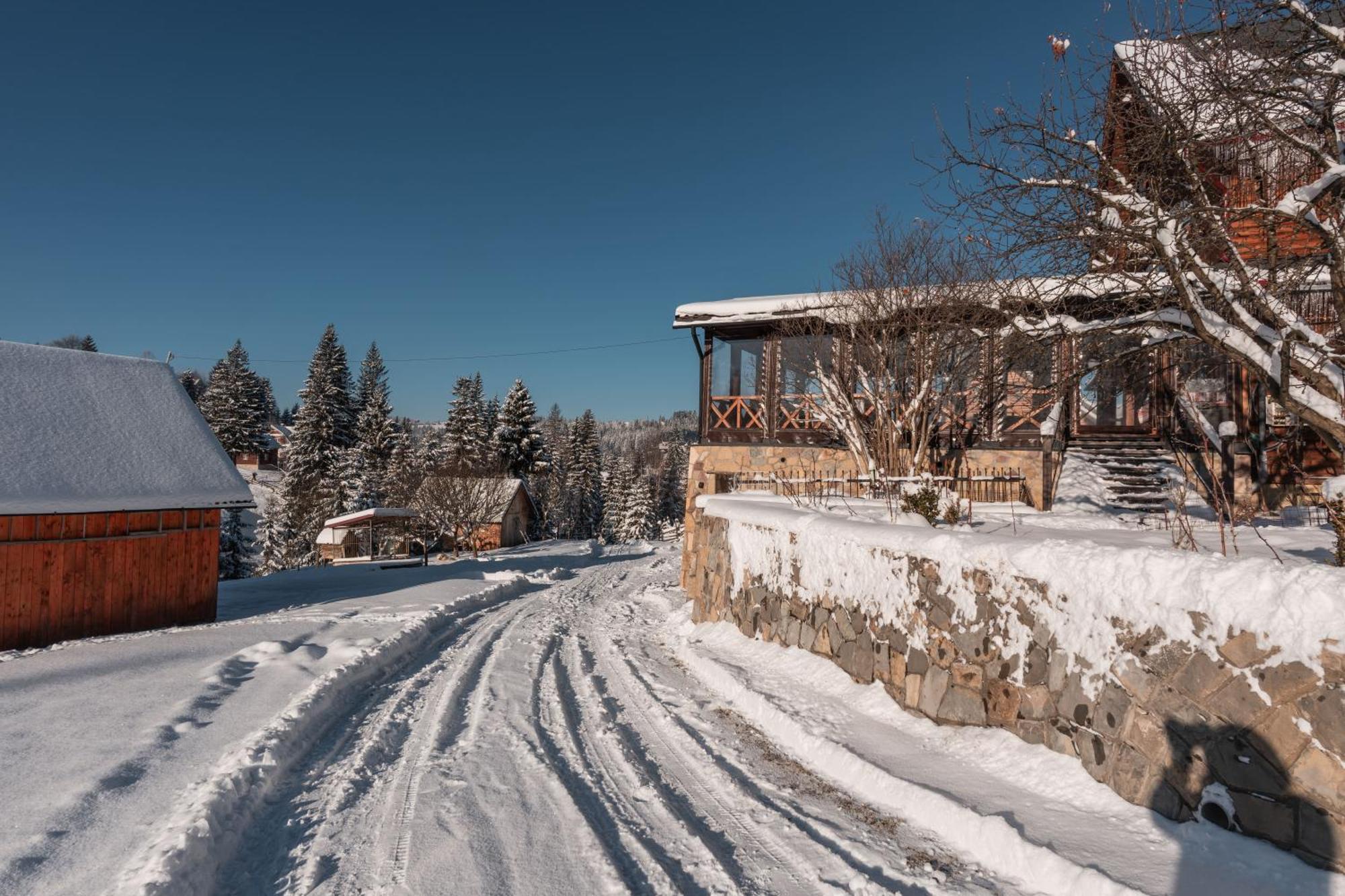 Гостьовий Дім "У Ані" Hotel Yablunytsya Exterior foto